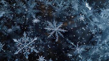 Snow. Realistic snow overlay background. Snowfall, snowflakes in different shapes and forms photo
