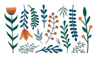 Winter plant set. Flowers, berries, leaves, branches. Modern illustration for your design vector
