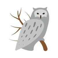 A polar owl sits on a branch. Isolated illustration in clip art style for your design vector