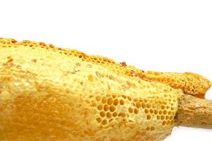 Honeycombs on wood stick with bees in a beehive on white background. Beekeeping, breeding and keeping bees. photo