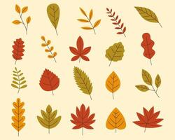 Abstract autumn leaf modern botanical set vector