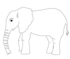 elephant is a large animal at full size. vector