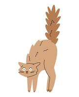 Funny cat in shock with an arched back and fluffed tail flat illustration isolated on white. vector
