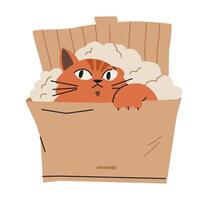 Cute red cat hiding in a cardboard box flat illustration isolated on white. vector