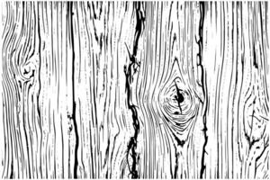 Distress dry wooden overlay texture. Template for design. Pattern for empty background. Illustration in engraved style. vector
