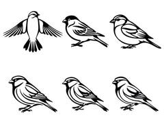 A set of sparrow silhouette on white background. vector