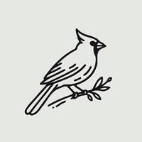 A black and white drawing of a cardinal bird vector