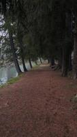 A path along the shore of a lake with trees video