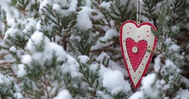 Red white retro style heart shaped ornament hanging on evergreen shrub juniper branch covered by snow in windy winter. Handcrafted Valentine heart decoration. Valentine day background with copy space video