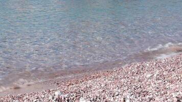 Pebble beach in Montenegro. Waves of clear water on clean beach of marble pebbles. Resort beach travel background with nobody and copy space. Tranquil seascape in pastel shades video