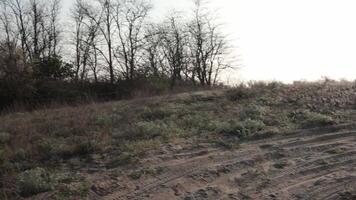 Off-road in middle of field, panning camera move right. Tire tracks on sand in steppe. Walk and ride on difficult path. Trees without foliage, woods in distance. Landscape with trails and nobody video