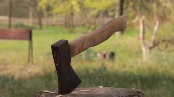 Axe stuck in log closeup. Rack focus to tree in background, camera move up. Spring nature, flowering tree in garden. Chopping wood to make fire for brazier. Clear sunny weather, outdoor recreation. video