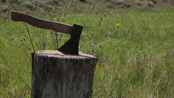 Strong male hand put in axe in old tree stump using for chopping firewood in countryside outdoor. Retro tool for firewood chopping using in countryside. Old ax with wooden handle. Slow motion video