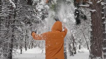 Unrecognizable man in brown jacket with hood and wearing black gloves pulling branch of pine tree and snow falls. Enjoying winter in park, forest. Back shot of person play with snow in winter snowfall video