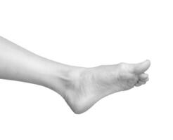 Gray scale image of a barefoot woman model with smooth, soft skin. Feet, toes, and ankle in a neat, photo
