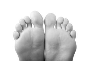 Grayscale barefoot female feet with smooth skin and neat toes, back view showing sole and pad. photo