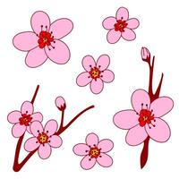Plum blossom. A set of blooming plum flowers, simple icon clipart collection, pink, red, yellow, isolated on a white background. Lunar New Year symbol, web and digital design elements, greeting cards vector