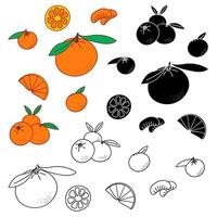 Citrus icon set. Orange fruit, tangerine, clementine, leaves, various elements. Simple contour, color. Orange, green, yellow, white background. Greeting cards, web design, print, logos, stickers, etc. vector