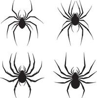 Four black and white spider silhouettes vector