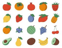 A collection of different fruits vector