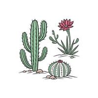 Cactus and flower illustration vector