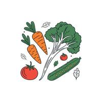 Vegetables and vegetables in a line drawing vector