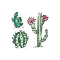 Cactus plants in different shapes and sizes vector