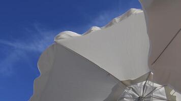 Frills of white fabric beach umbrellas flutter and move by breeze. View from under beach sunshade on blue sky background with copy space. Protection from sunlight and overheating on beach in summer video