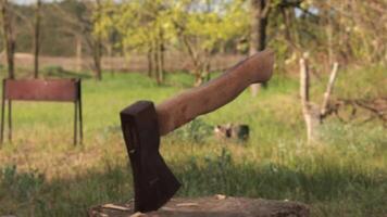 Old axe stuck in log closeup. Rack focus from trees in background to ax with weathered wooden handle on foreground, camera move down. Chopping wood to make fire for bbq in countryside. Jib view video