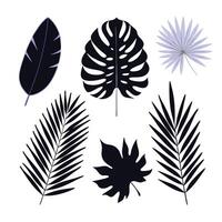 A set of black and white tropical leaves vector