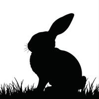 Silhouette of rabbit in grass vector