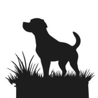 A silhouette of a dog standing on a grassy hill vector