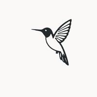 A hummingbird flying in the air on a white background vector