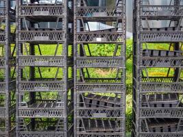 Stacked boxes on top of each other. Seedling boxes. Empty containers on the street photo