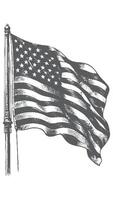 An american flag is shown in a black and white drawing vector