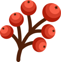 Red Berries on a Tree Branch Simple Illustration png
