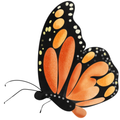 Animated Butterfly Pngs For Free Download Animated Butterfly Pngs For Free Download