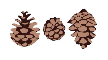 Illustration of three pine cones in different shapes and sizes isolated on a white background. Forest nature and autumn season concept. Design for greeting cards, invitations, posters vector