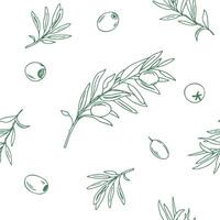 Graphic Seamless Pattern with green Branches of Olives on a white background. Hand drawn illustration. Can be used for textile, wallpaper prints and packaging. vector
