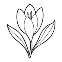 Simple black and white outline of a crocus flower with leaves. Clean lines and minimalistic design. vector