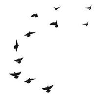 Silhouette sketch of a flock of flying birds, flight in different positions. Takeoff, flying, flight, flutter, hover, soaring, landing vector