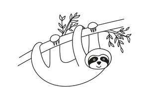 Adorable hand drawn sloth hanging on tree with leaves. Hand drawn funny tropical bear doodle line vector