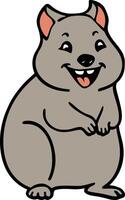 Quokka Marsupial Macropod vector
