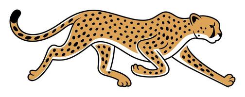 Cheetah Running on White vector