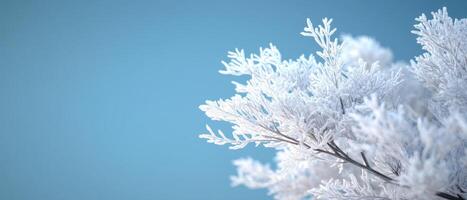 Frosted branches against a soft blue background, creating a serene winter scene. photo