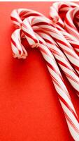 candy can lane in red background many photo