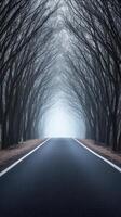 A misty road lined with trees, creating a serene and mysterious atmosphere. photo