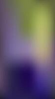Beautiful abstract backgrounds with wave-like patterns and bold, colorful rainbow transitions. Ideal for digital and print work with a blurred touch. vector