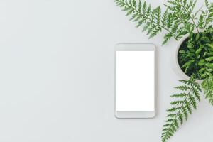 A minimalistic workspace featuring a smartphone and a potted fern plant. photo