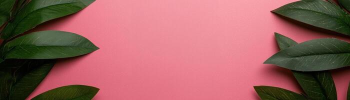Vibrant green leaves frame a soft pink background, creating a fresh and inviting scene. photo
